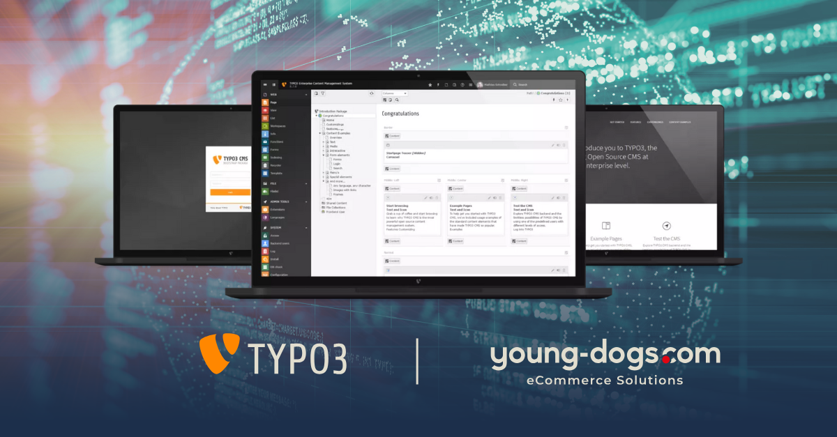 Discover the Incredible Benefits of TYPO3